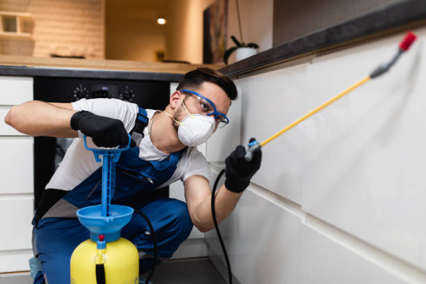 Best Wildlife Control Services  in Quincy, MI