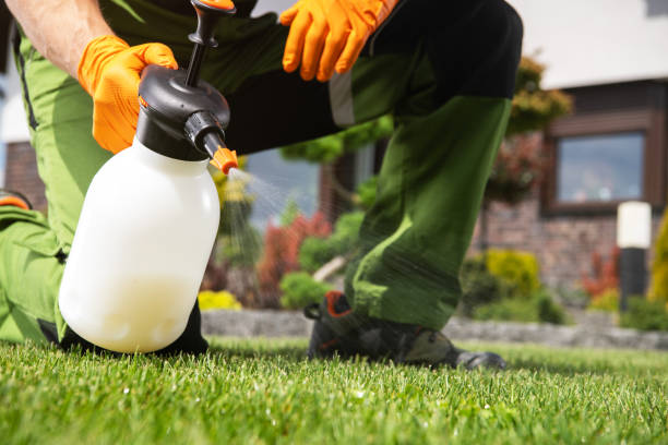 Best Bed Bug Extermination  in Quincy, MI