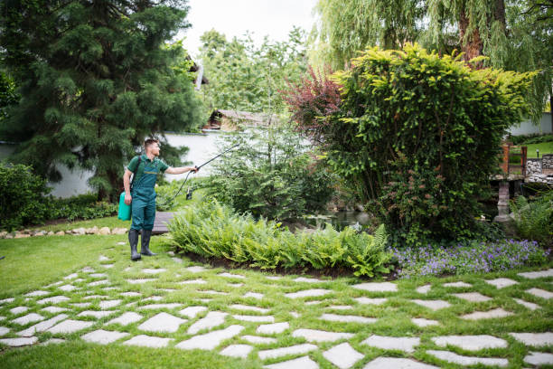 Professional Pest Control in Quincy, MI