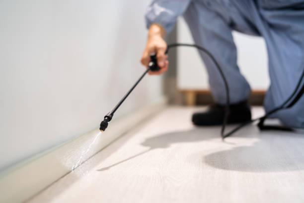 Best Mosquito Control Services  in Quincy, MI