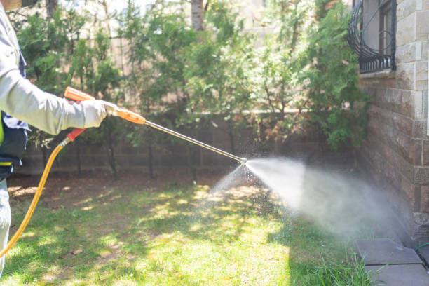 Best Pest Control Near Me  in Quincy, MI
