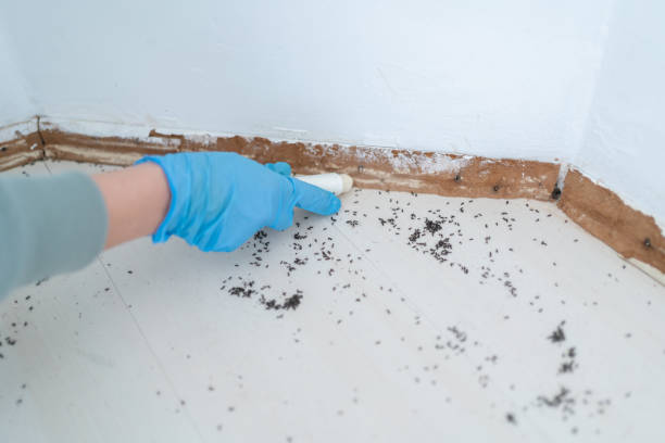 Best Best Pest Control Companies  in Quincy, MI